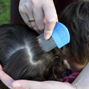 Lice Tip: Act Quickly